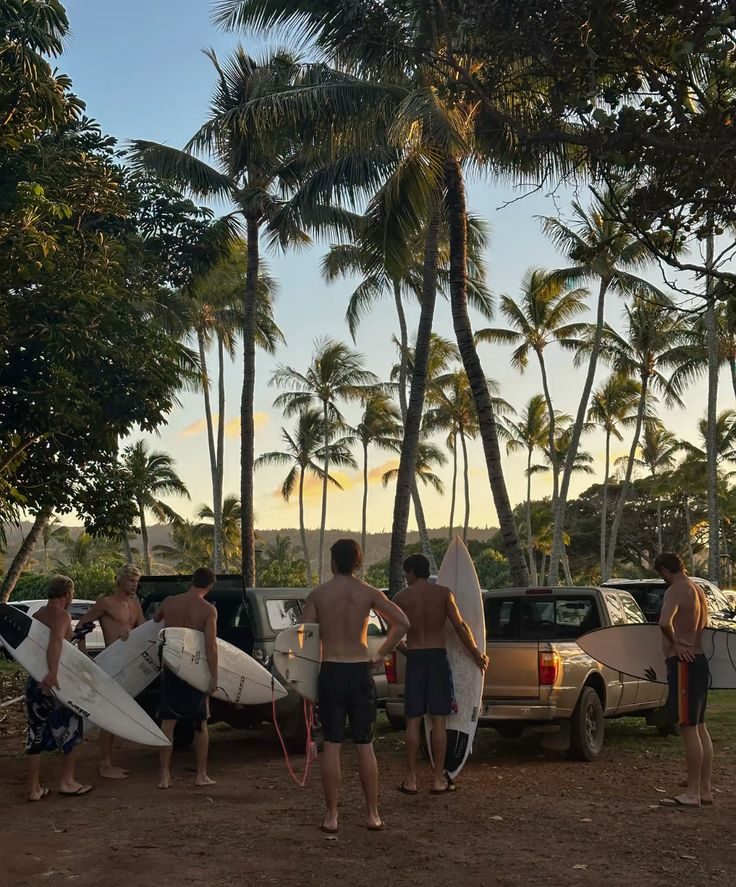 A group with surfboards under palm trees at sunset